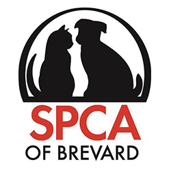 SPCA Thrift Shop